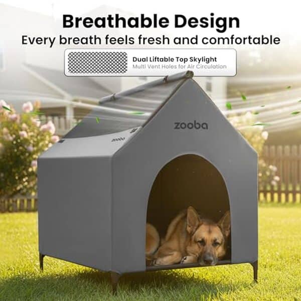 Découvrez notre test complet de la niche surélevée imperméable Zooba 78, 7 cm pour chien : design, durabilité et confort pour votre animal de compagnie. 