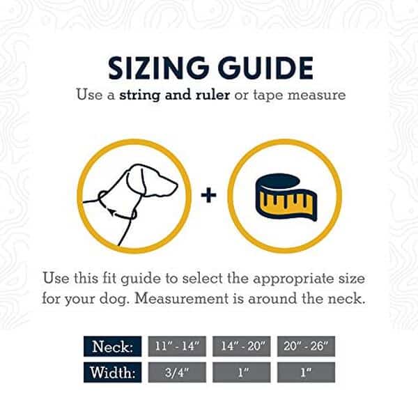 Découvrez notre test complet du collier ajustable Ruffwear Chain Reaction : durabilité, confort et sécurité pour votre chien. 