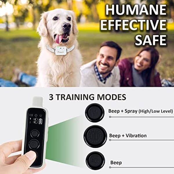 Découvrez notre test complet du collier de dressage citronnelle avec télécommande : portée 305m, efficacité prouvée et avis détaillé pour bien dresser votre chien. 