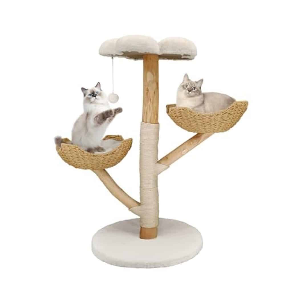 Avis sur l'arbre à chat BingoPaw : tour de jeux 111 cm avec sisal