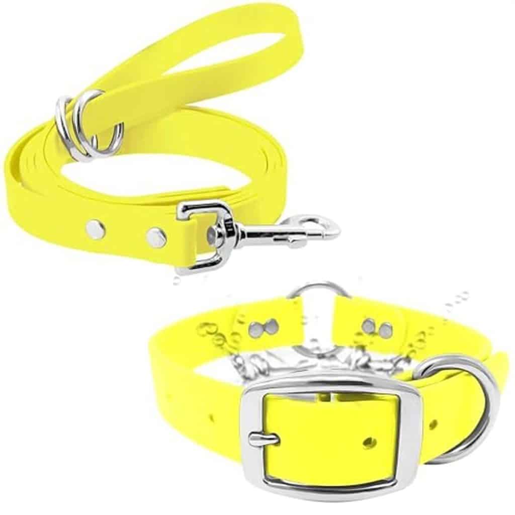 Test collier et laisse Regal Dog : résistance et style pour grands chiens