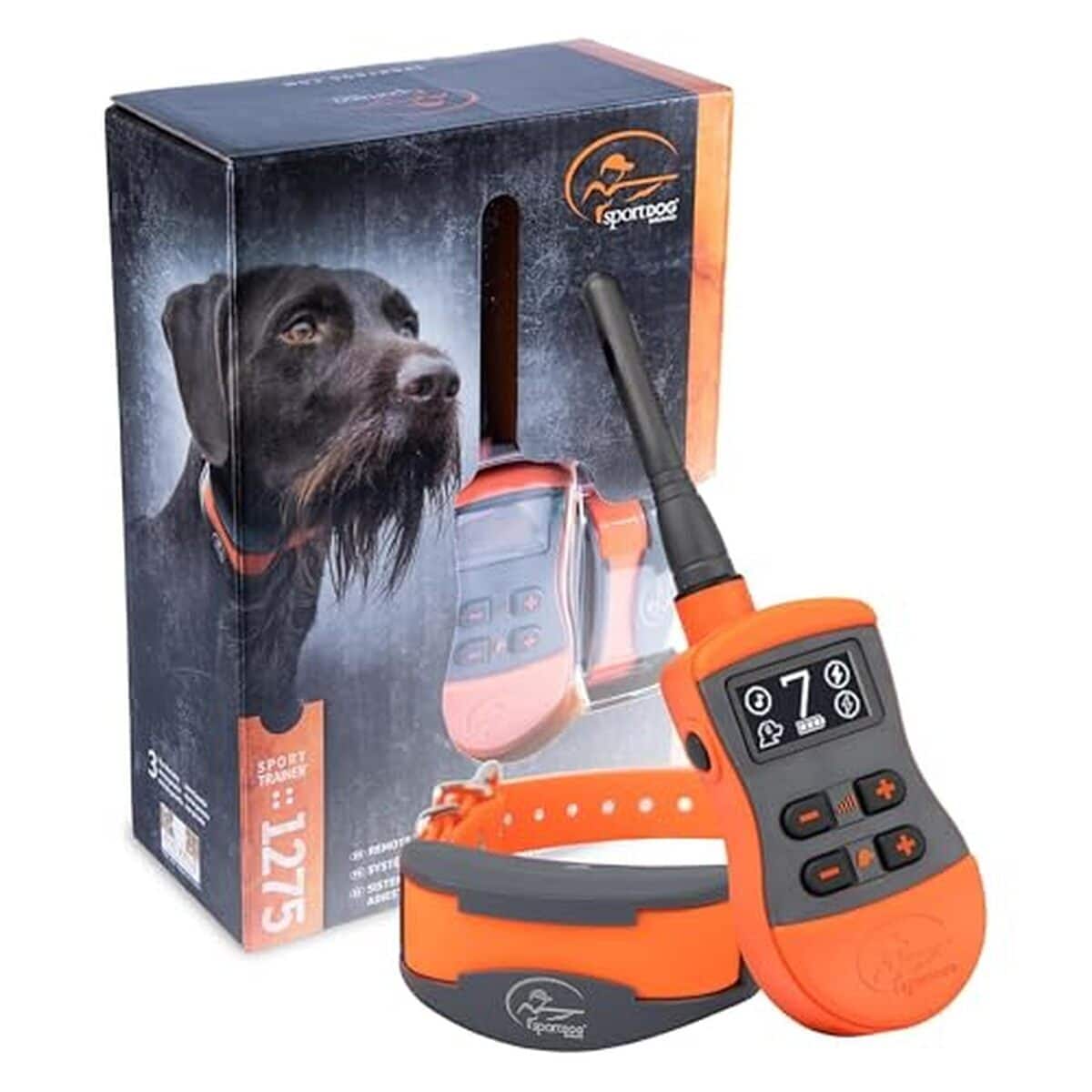 Test du collier de dressage SportDOG SportTrainer : efficacité et portée impressionnantes