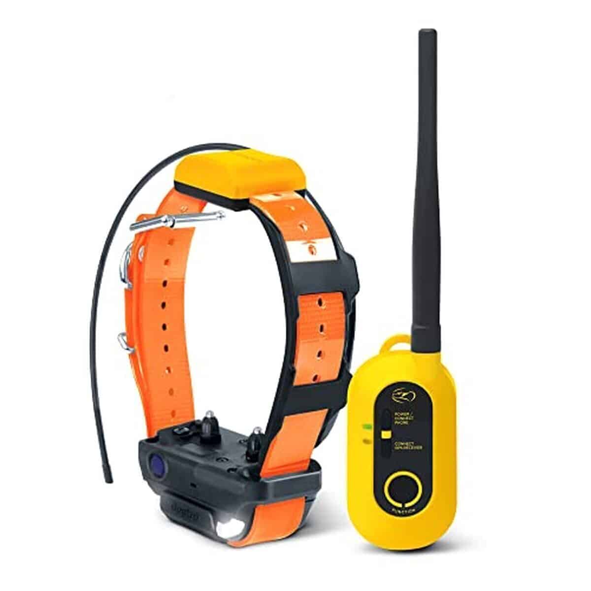 Test du collier GPS Dogtra Pathfinder 2 : dressage et repérage avancé