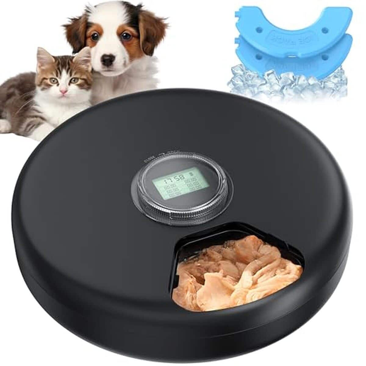 Test du distributeur de croquettes humide automatique pour chats et chiens