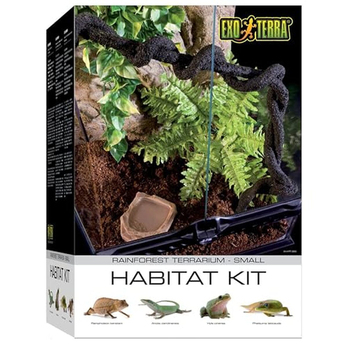 Test du kit vivarium Exo Terra PT2660 - Rainforest, taille S