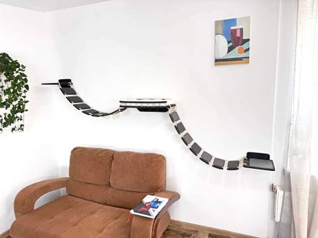 Test du mur d'escalade pour chat RshPets XXL 285 cm : pont, hamac et plus
