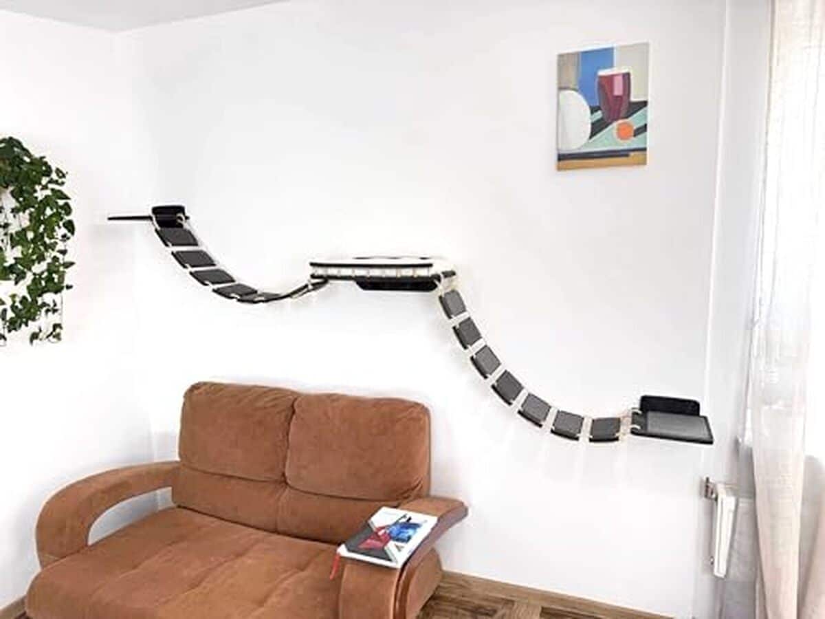 Test du mur d'escalade pour chat RshPets XXL 285 cm : pont, hamac et plus
