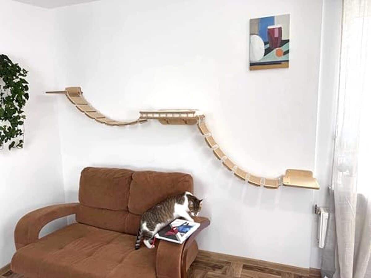 Test du mur d'escalade XXL RshPets : pont, hamac et plus