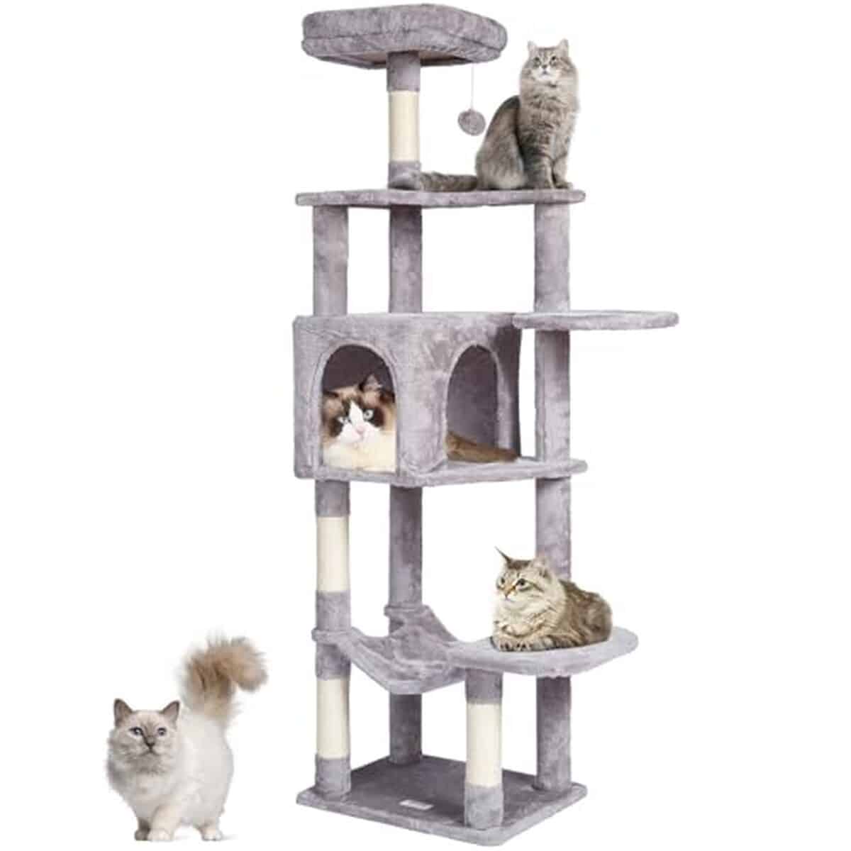 Test du VEVOR arbre à chat 154 cm : paradis pour félins