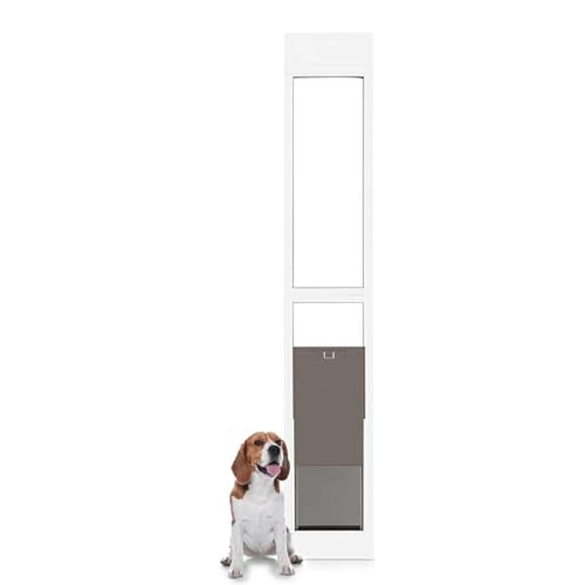 Test : porte en verre coulissante PetSafe pour animaux
