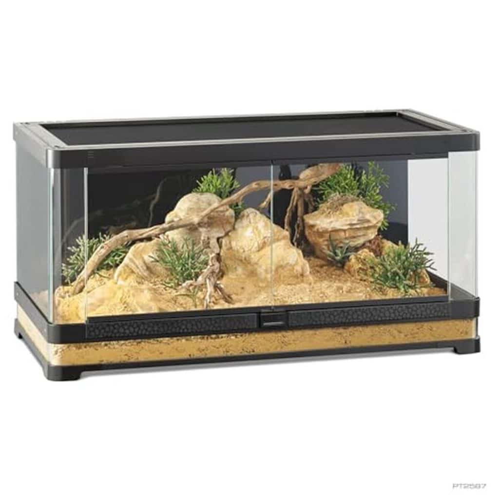 Test : terrarium panoramique Exo Terra Vista 90 naturel