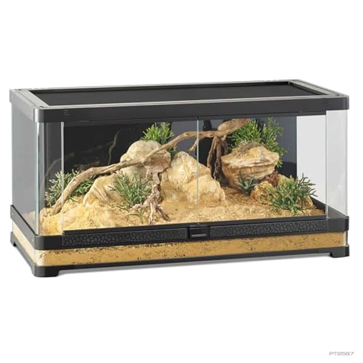 Test : terrarium panoramique Exo Terra Vista 90 naturel