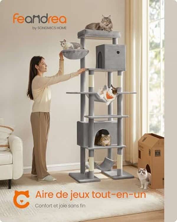 Découvrez notre test détaillé de l'arbre à chat Feandrea 201 cm, le modèle XXL multi-niveaux idéal pour les grands chats. Caractéristiques, avantages et avis d'experts. 