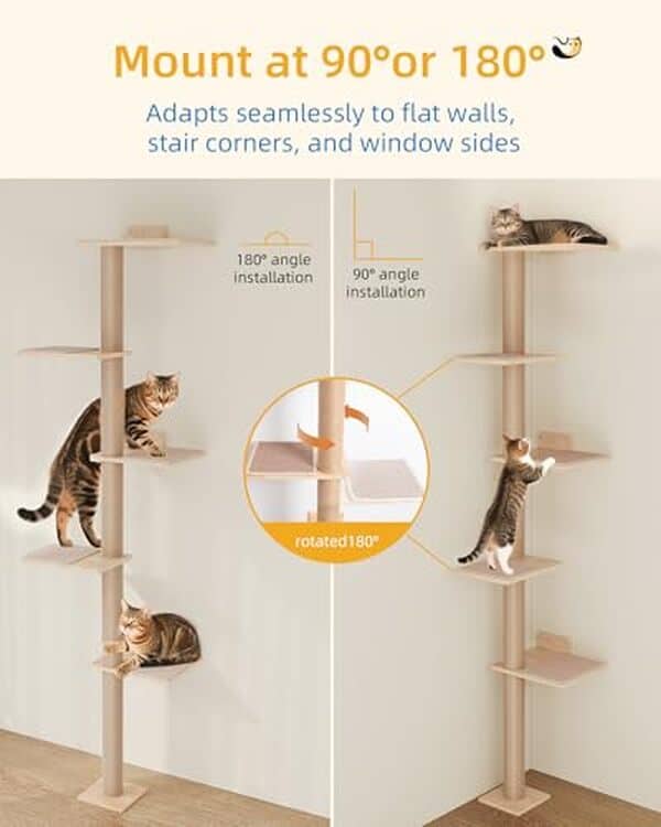 Découvrez notre test détaillé de l'arbre à chat mural Aechonow 204 cm : qualité, stabilité et design pour votre félin.
