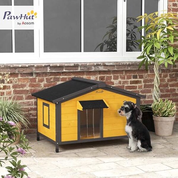 Découvrez notre test complet de la niche extérieure PawHut pour petits chiens : confort, durabilité et praticité pour votre animal.