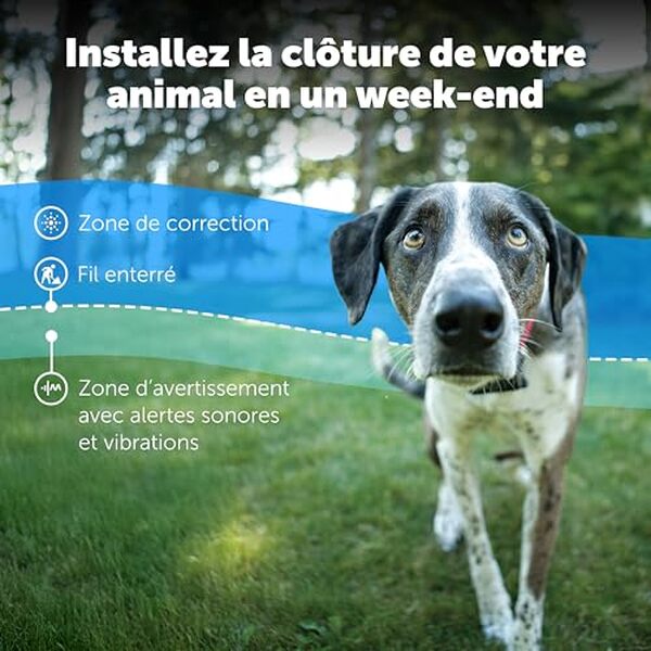 Découvrez notre test complet du collier anti-fugue PetSafe pour chiens têtus. Efficacité, avantages et inconvénients : tout ce qu'il faut savoir avant d'acheter. 