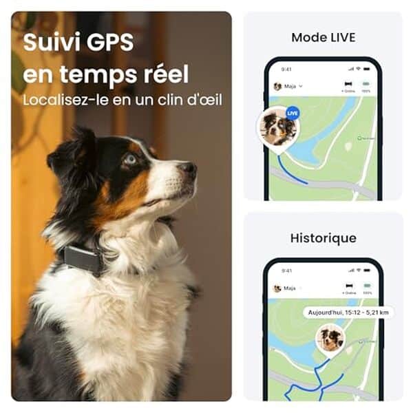 Découvrez notre test complet du collier GPS Tractive 2026 : localisation en direct, sécurité renforcée et fonctionnalités innovantes pour protéger votre compagnon.