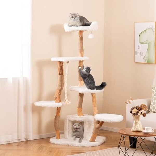 Découvrez notre test détaillé de l'arbre à chat GOPLUS 6 niveaux 168 cm en bois massif : qualité, stabilité et avis clients pour le meilleur choix.