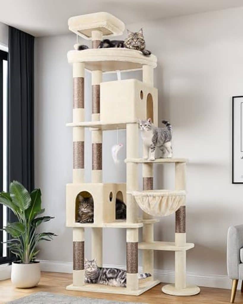 Test : arbre à chat XXL Globlazer F83 pour gros chats