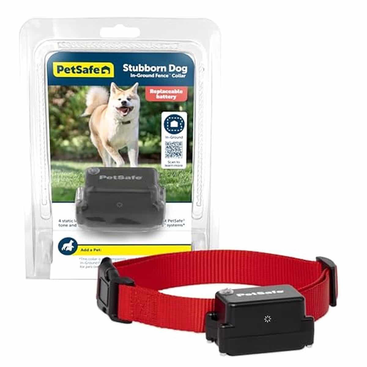 Test du collier anti-fugue PetSafe pour chiens têtus