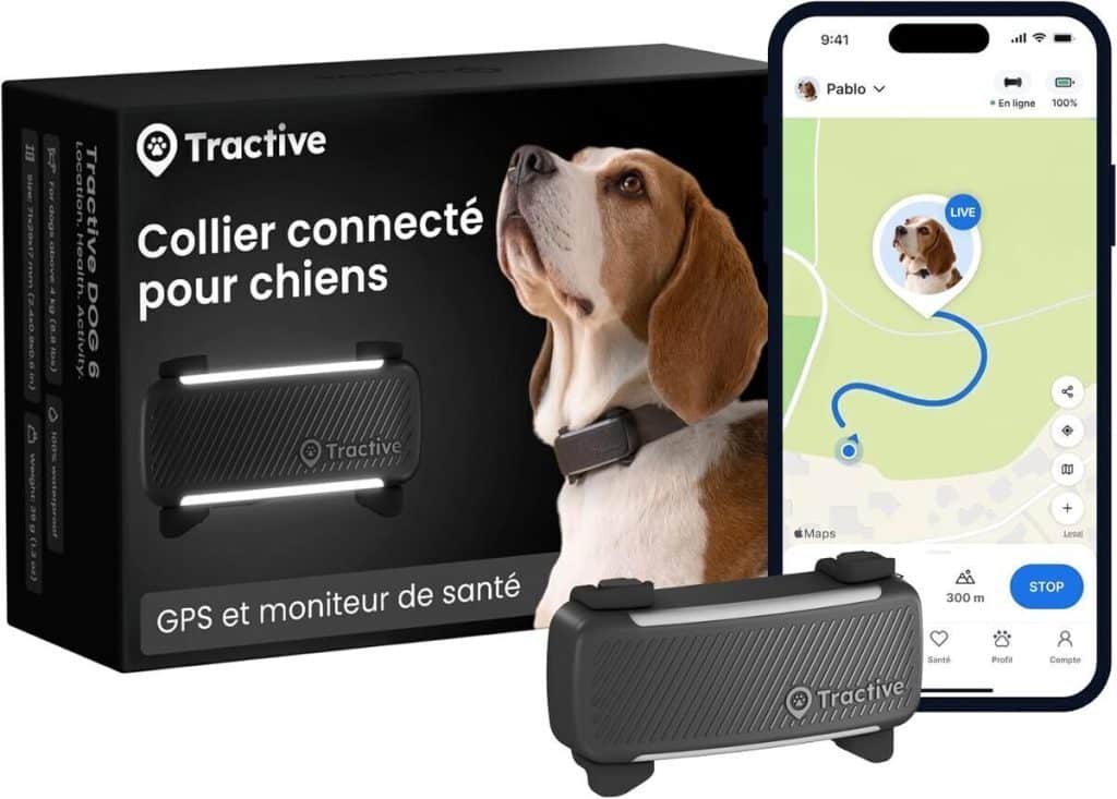 Test du collier GPS Tractive 2026 : suivi en direct et sécurité