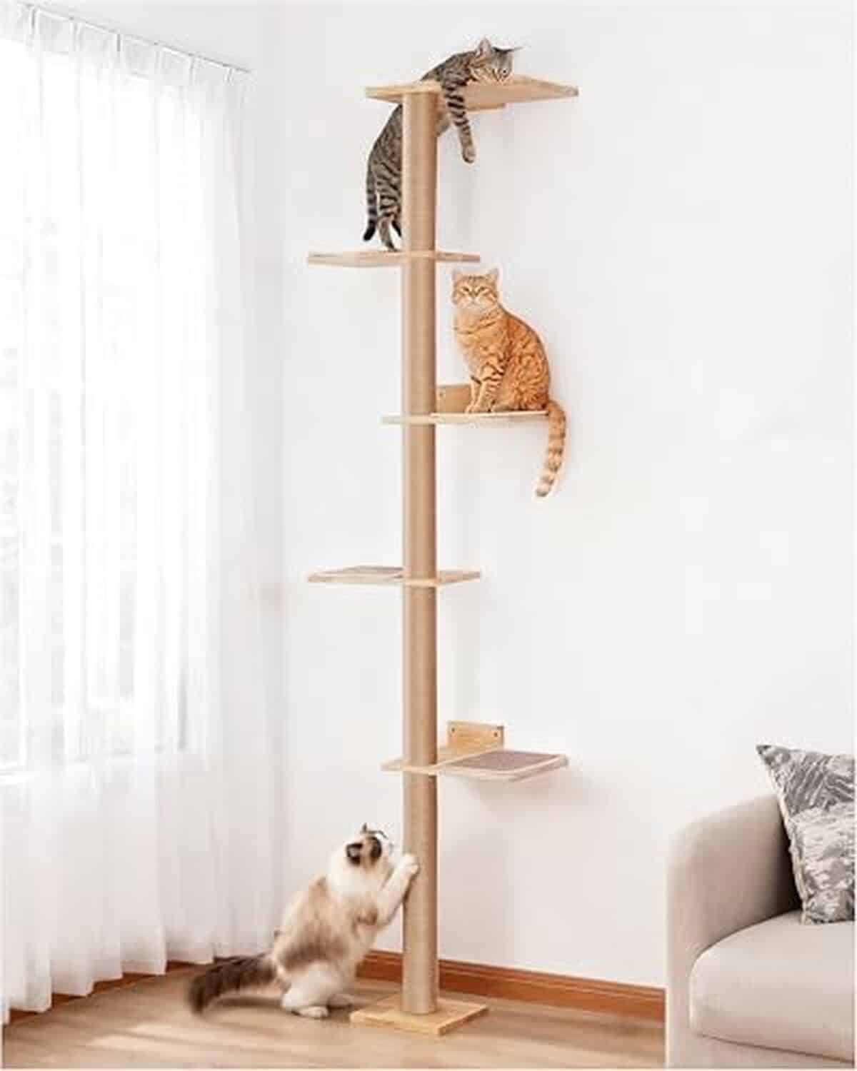 Test du grand arbre à chat mural Aechonow 204 cm