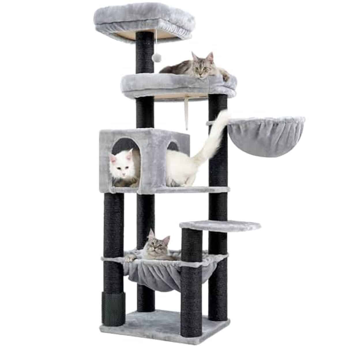 Test du grand arbre à chat XXL Hey-brother : idéal pour Maine Coon