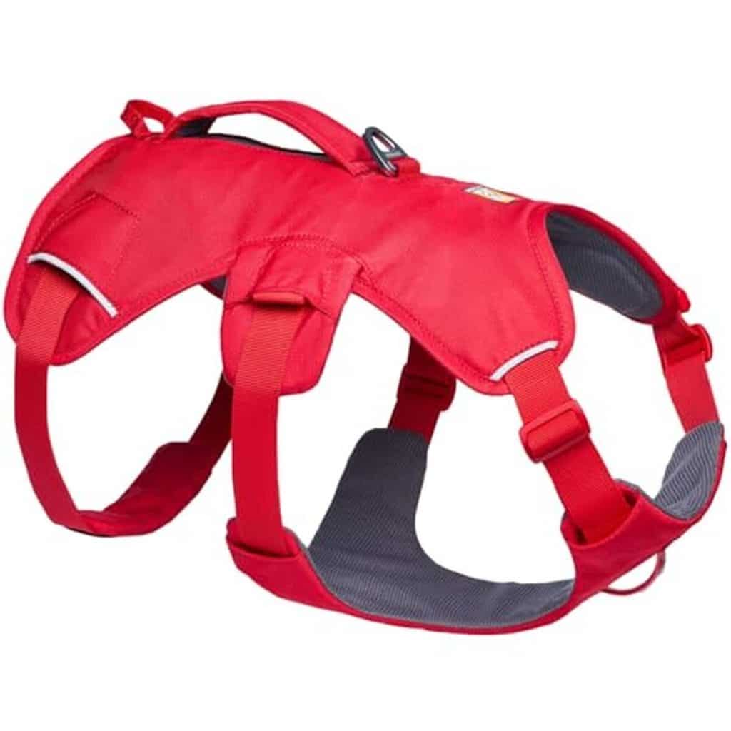Test du harnais Ruffwear Web Master : confort et sécurité pour votre chien