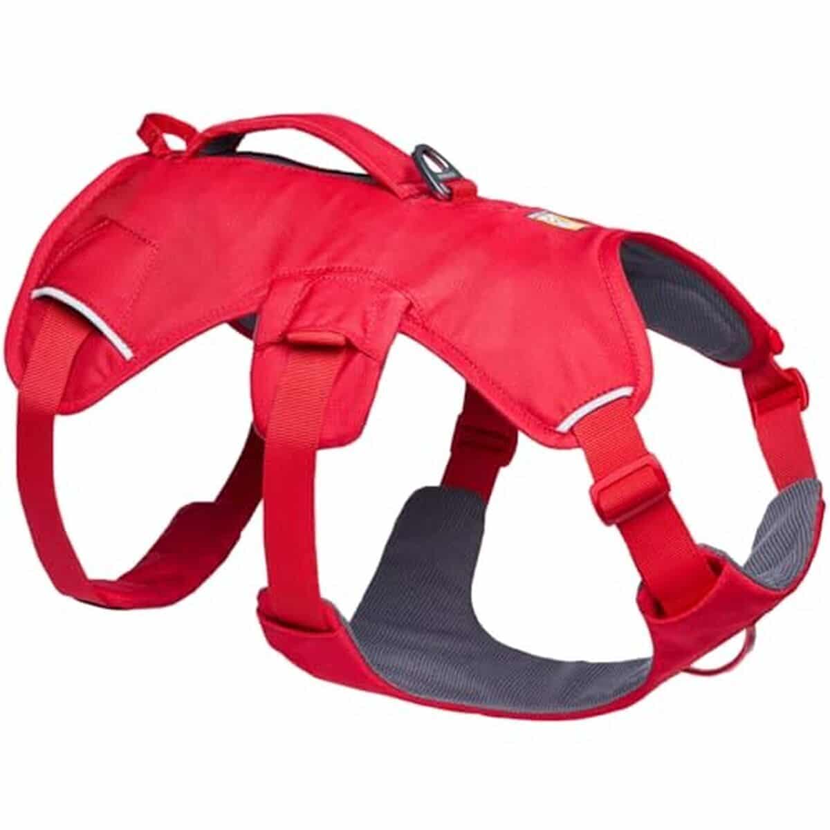 Test du harnais Ruffwear Web Master : confort et sécurité pour votre chien