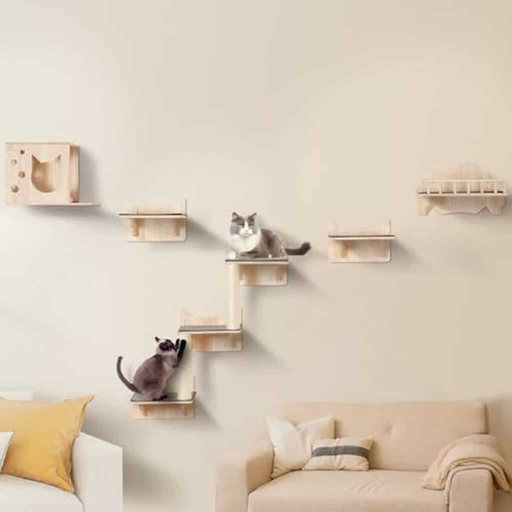Test : étagères murales pour chat Vevor