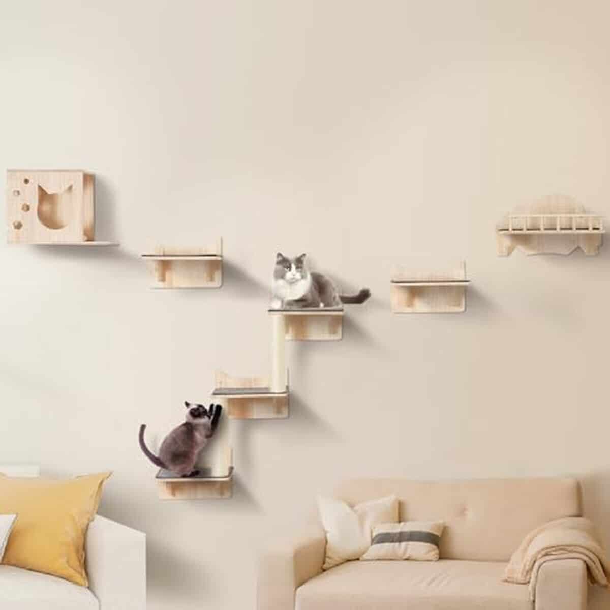 Test : étagères murales pour chat Vevor