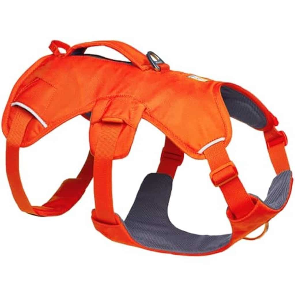 Test harnais Ruffwear Web Master Blaze Orange : performant et confortable