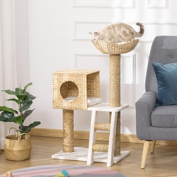 Découvrez notre test détaillé de l'arbre à chat PawHut 100, 5 cm avec coussins et échelle. Avis, caractéristiques et conseils d'achat pour le meilleur choix. 
