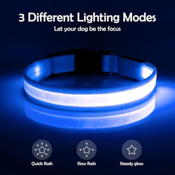 Découvrez notre test complet du collier lumineux Vizpet LED pour chien. Sécurité, style et praticité : tous les détails pour bien choisir votre accessoire. 