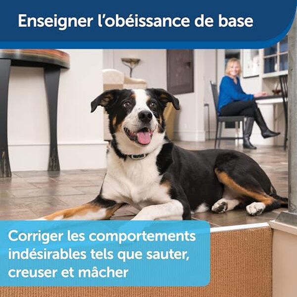 Découvrez notre test détaillé du collier de dressage PetSafe à distance avec portée 900 m. Performances, avantages et inconvénients pour bien choisir votre collier de dressage.