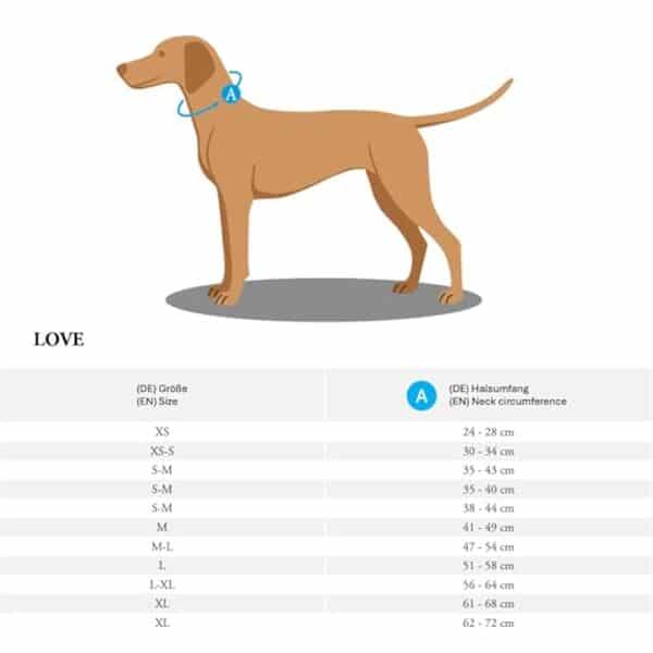 Découvrez notre avis complet sur le collier pour chien Hunter Love en cuir souple : confort, qualité et durabilité pour votre compagnon.