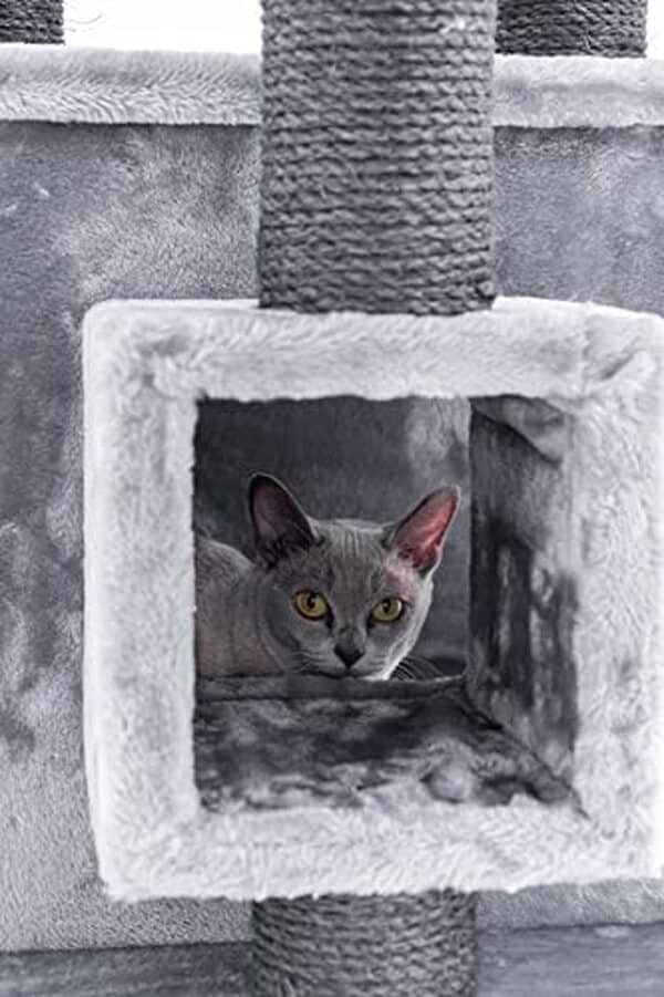 Découvrez notre test complet de l'arbre à chat Petrebels Cleopatra 134 cm gris : design, stabilité, confort et qualité pour votre félin.