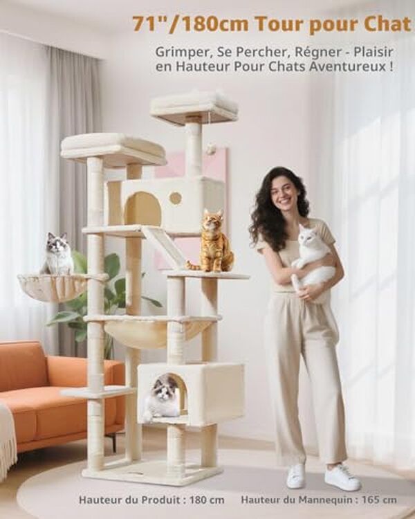 Découvrez notre test détaillé de l'arbre à chat XXL Taoqimiao Maine Coon 180cm beige : caractéristiques, avantages et avis pour les grands chats.