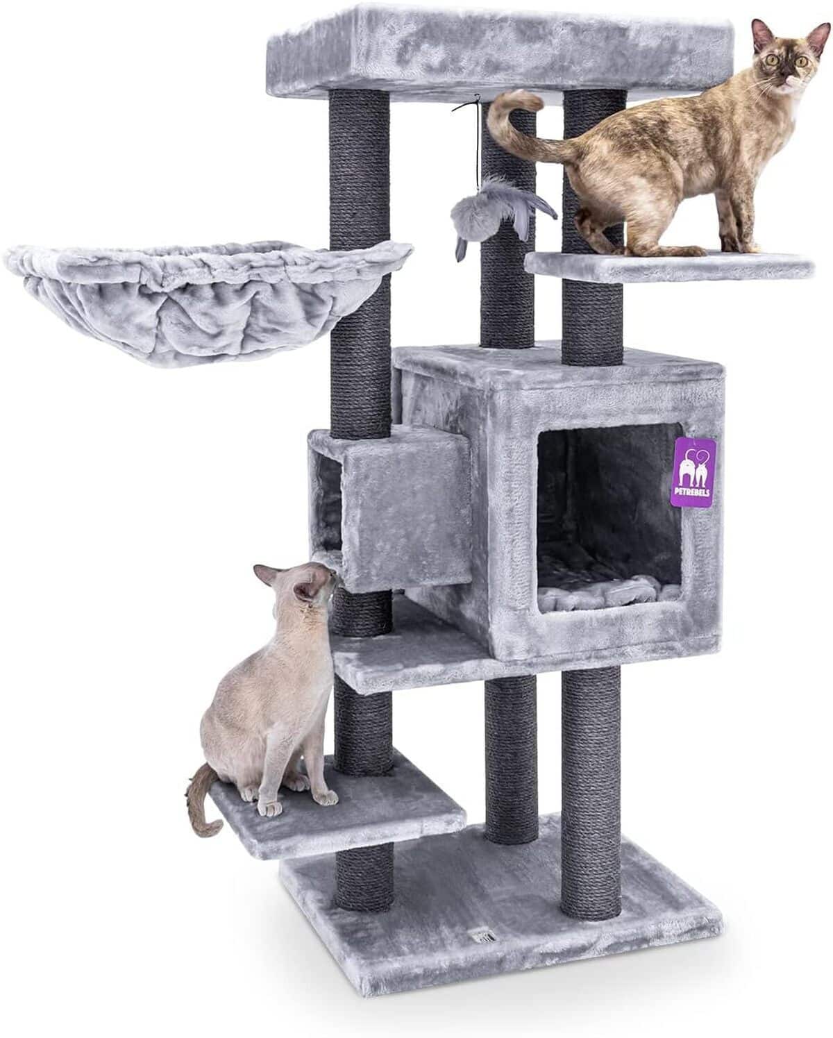 Test de l'arbre à chat Petrebels Cleopatra 134 cm gris