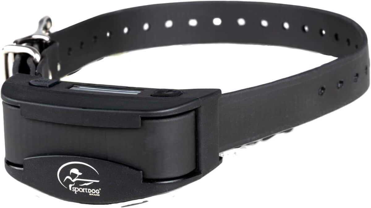 Test du collier anti-aboiement SportDOG NoBark rechargeable et waterproof