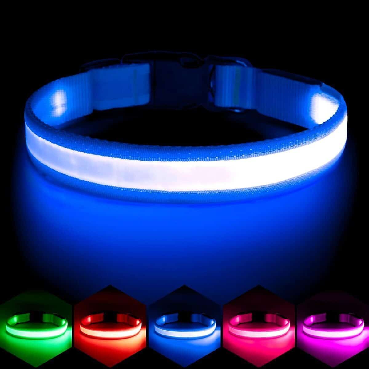 Test du collier lumineux Vizpet LED pour chien : sécurité et style assuré
