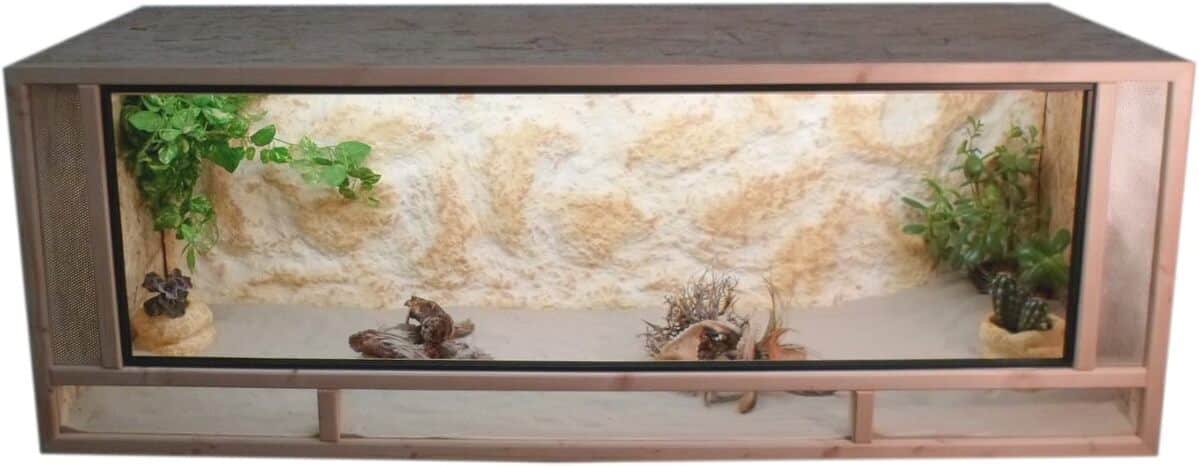 Test du terrarium OSB en bois d'épicéa